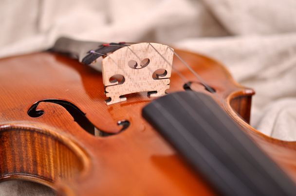 image of a violin isolated on a brown background - Photo, Image