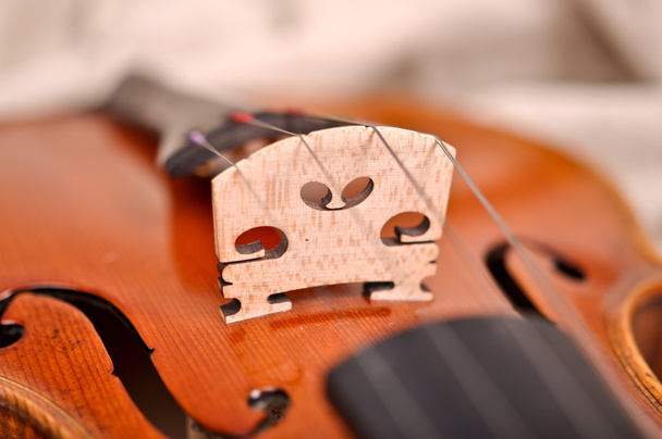 violin details isolated on a brown background - Photo, Image