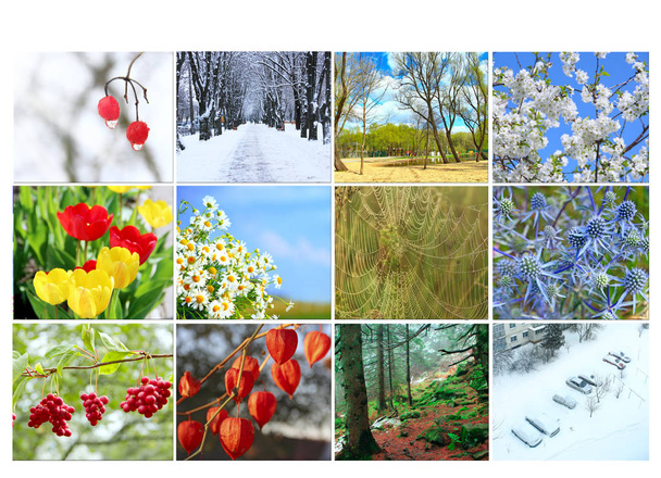 Différentes douze images colorées de la nature pour le calendrier. Prêt photo pour le calendrier. Photos pour le calendrier annuel. Plaque pour bureau
 - Photo, image