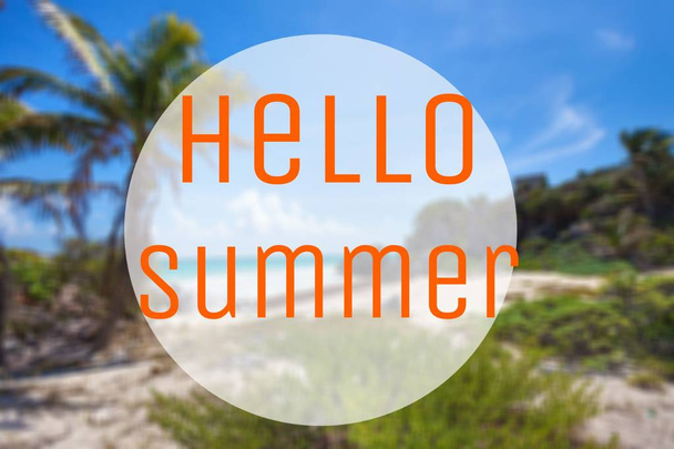 Hello summer on tropical background  - Фото, зображення