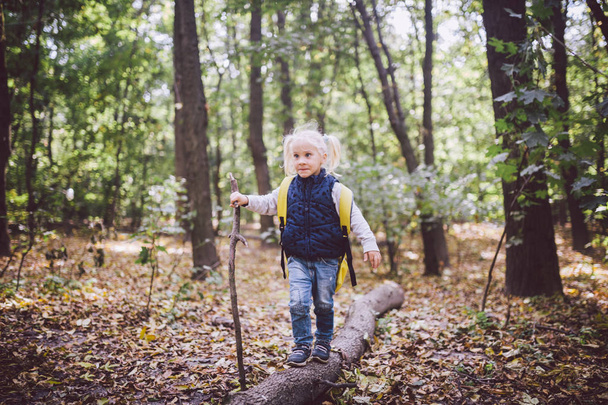 Theme outdoor activities in nature. Funny little Caucasian blonde girl walks walks hiking in the forest on rough terrain with a large backpack. Uses walking stick - Zdjęcie, obraz