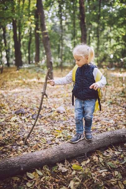 Theme outdoor activities in nature. Funny little Caucasian blonde girl walks walks hiking in the forest on rough terrain with a large backpack. Uses walking stick. - 写真・画像