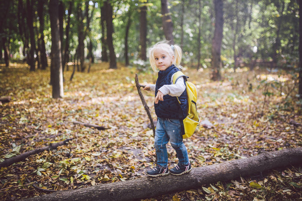 Theme outdoor activities in nature. Funny little Caucasian blonde girl walks walks hiking in the forest on rough terrain with a large backpack. Uses walking stick - Zdjęcie, obraz
