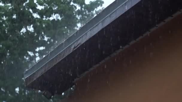 ein leicht heftiger regen sturm in neapel florida hämmert auf das dach und ergießt sich von der kante während der sommerlichen regenzeit, wodurch flutlichtbedingungen entstehen, mit audio. - Filmmaterial, Video