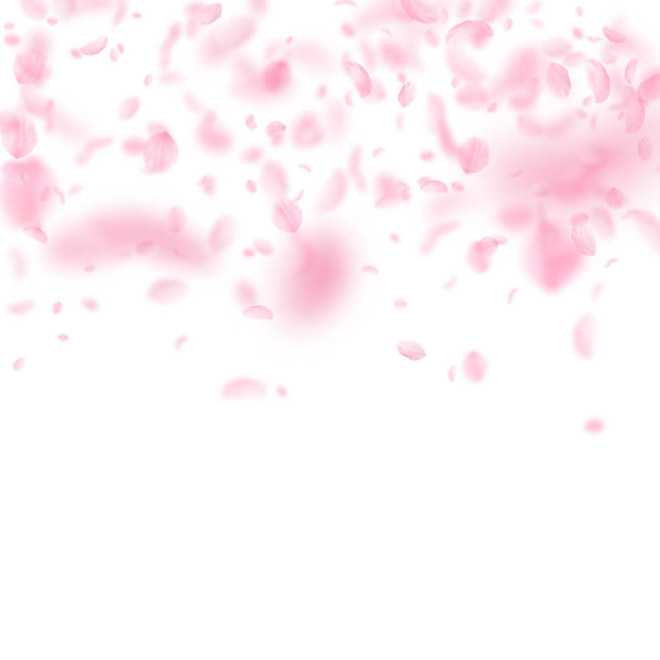 Sakura bloemblaadjes vallen naar beneden. Romantische roze bloemen  - Vector, afbeelding