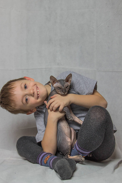 Ένα αγόρι σε ένα γκρι T-shirt κάθεται και παίζει με φαλακρός γάτα Sphynx γκρι - Φωτογραφία, εικόνα