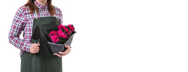 mujer jardinero profesional o florista en delantal sosteniendo flores en una olla y herramientas de jardinería aisladas sobre fondo blanco. Copiar espacio
 - Foto, Imagen
