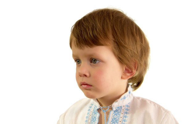 Poika Ukrainan kirjailtu paita
 - Valokuva, kuva