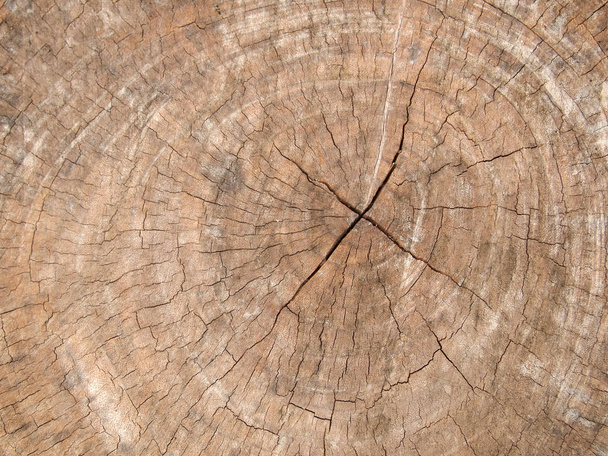 Background wood close up - 写真・画像