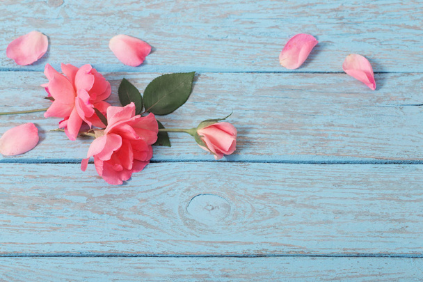 pink roses on old blue background - Φωτογραφία, εικόνα