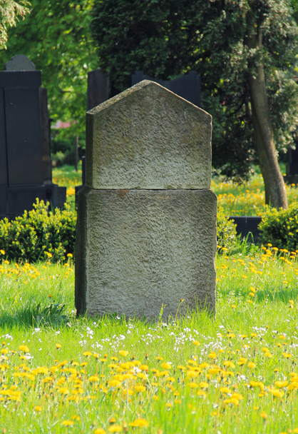 vieilles pierres tombales sur le cimetière juif et de nombreuses fleurs jaunes de pissenlits à Frydek-Mistek, République tchèque
 - Photo, image