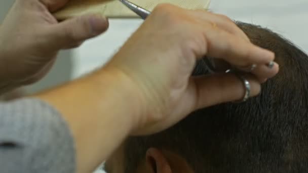 Dokonywanie fryzura człowieka w barbershop Fryzjer. Salon fryzjerski w pracy. Salon piękności. - Materiał filmowy, wideo