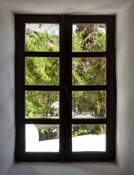 Pohled z okna na rostliny v zahradě - Fotografie, Obrázek