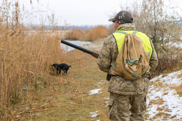 Cazador con un drathaar alemán y spaniel, caza de palomas con perros en chalecos reflectantes
 - Foto, imagen