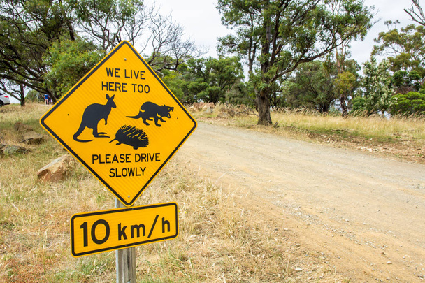 Hobart, Tasmania - 27 grudnia 2016: droga po stronie ostrzegawczym dla Tasmanian kangur, Diabeł tasmański i dzikość echidna - Zdjęcie, obraz