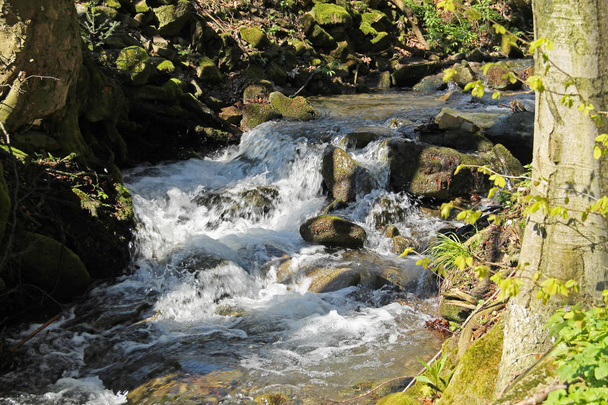 春、Beskydy 山地、チェコ共和国で野生の小川が流れるきれいな - 写真・画像