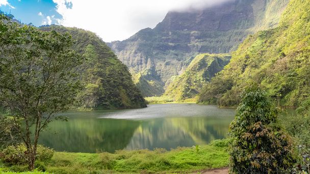     Taiti na Polinésia Francesa, lago Vaihiria no vale Papenoo nas montanhas, vegetação arbustiva luxuosa
  - Foto, Imagem