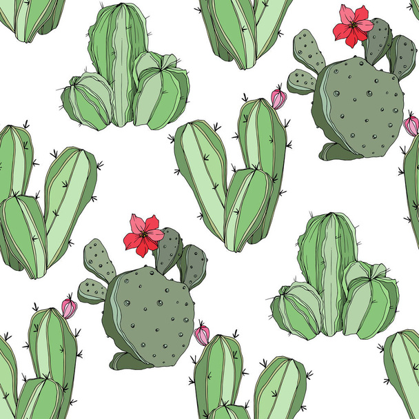 Vector Cactus. Floral botanical flower. Green engraved ink art.Seamless background pattern. Fabric wallpaper print texture. - Vector, Image