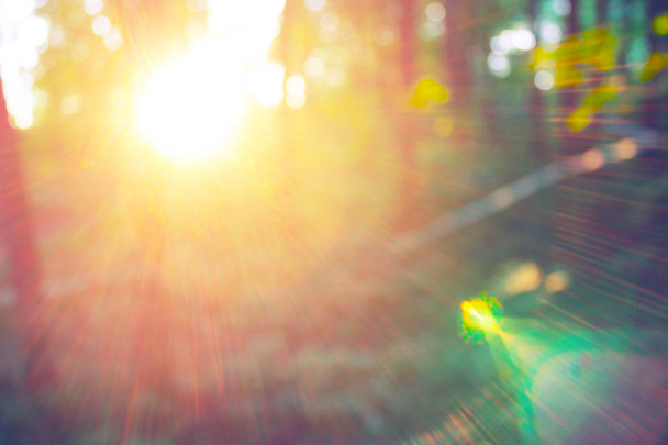 Blur nature green park with bokeh sun light abstract background. - 写真・画像