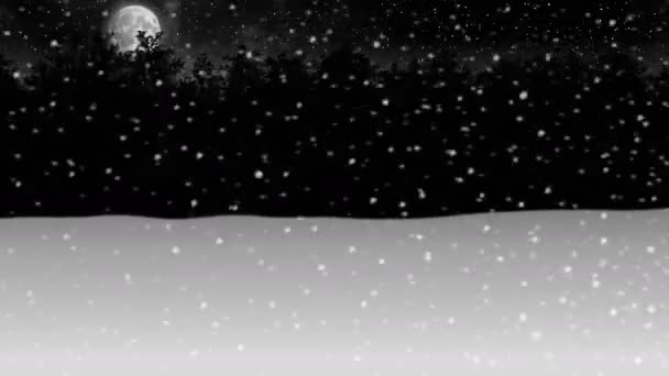 Bewegung durch den nächtlichen Winter Schnee Wald Animation - Filmmaterial, Video
