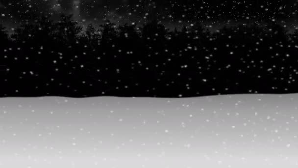 doorlopen van de nacht-winter snow forest animatie 3d illustratie maken naadloze loops achtergrond - Video