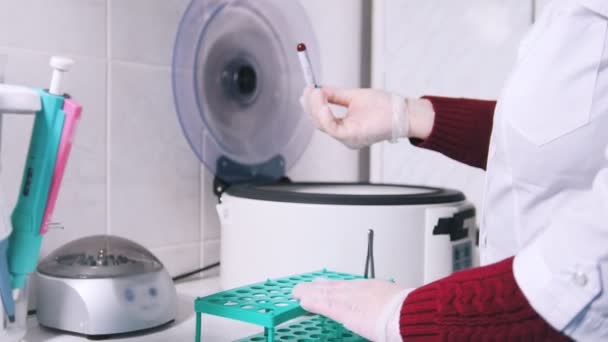 Medical clinic. Nurse puts the blood samples in the blood centrifuge and closes it - Footage, Video