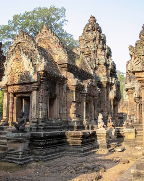 Камбоджа, Бантеай-Сей - март 2016 - Реконструированные руины из резного красного песка 10-го века, храм, посвященный индуистскому богу Шиве, купающиеся в раннем утреннем свете
 - Фото, изображение