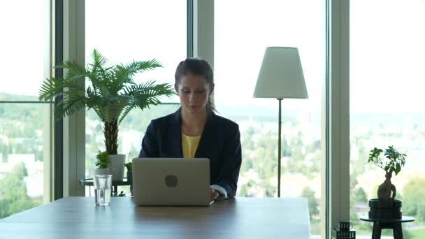 Hermosa joven mujer de negocios caucásica está trabajando en el ordenador portátil
     - Imágenes, Vídeo