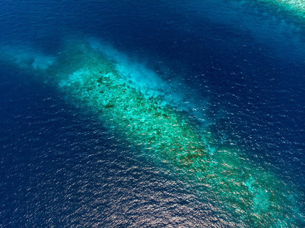 Aerial top down coral reef tropical caribbean sea, turquoise blue water. Indonesia Wakatobi archipelago, marine national park, tourist diving boat travel destination - Photo, Image
