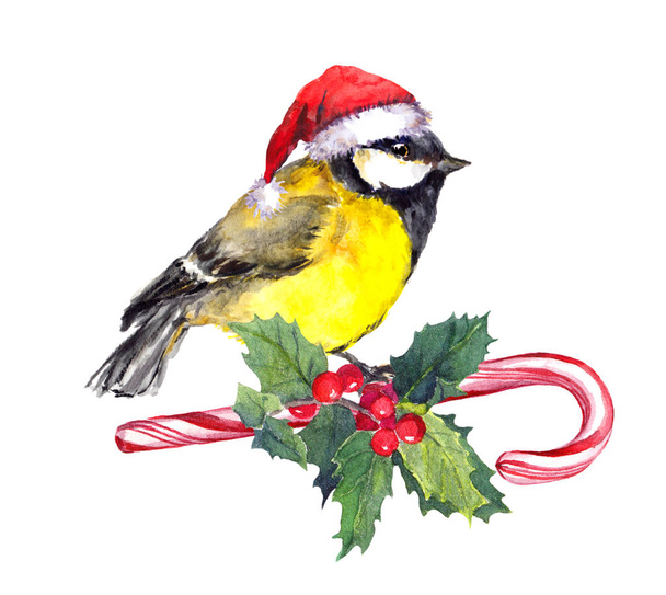 Christmas tit bird in red santa hat on candy cane and xmas mistletoe. Watercolor - Foto, imagen
