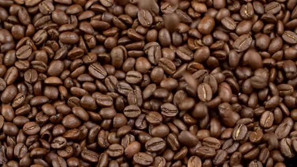 Falling coffee beans. Slow motion shot - Кадри, відео