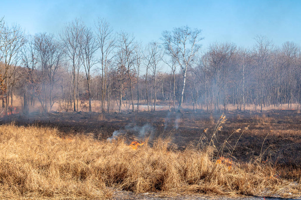Een sterke vuur verspreidt zich in de rukwinden van wind door droog gras - Foto, afbeelding