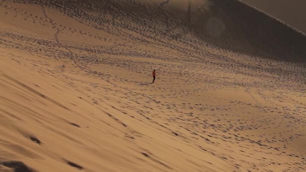 Walking Alone in the Desert - Footage, Video
