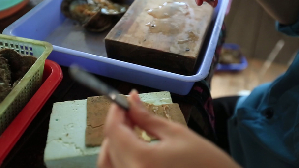 Pearl farm, gdzie nurków nurkować się muszle z morza i rozwijać perły hodowlane materiał pokazuje powłoki z trzy perły i kobieta wprowadzenie jednego perła w turystyczne Wietnam Phu Quoc ostryg odwiedź 4 k - Materiał filmowy, wideo