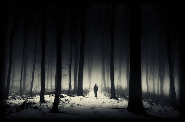 Темный сюрреалистический пейзаж. Силуэт человека в фантазийном лесу ночью
 - Фото, изображение