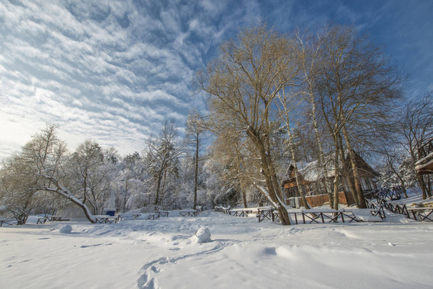 Snow-covered landscape with trees and blue sky, Russian winter. - Foto, afbeelding