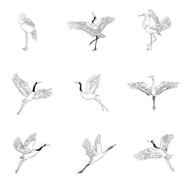 crane sketch, bird flying over white background, set, silhouette, vector illustration - Διάνυσμα, εικόνα