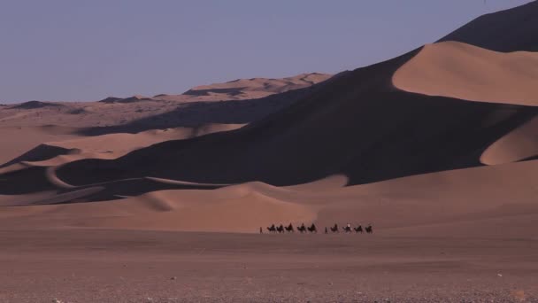 Cavalcando cammelli nel deserto. Cammello carovana al tramonto colpo lontano
 - Filmati, video