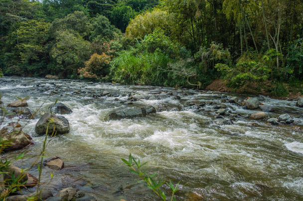 Річка з рослинами і камінням
 - Фото, зображення