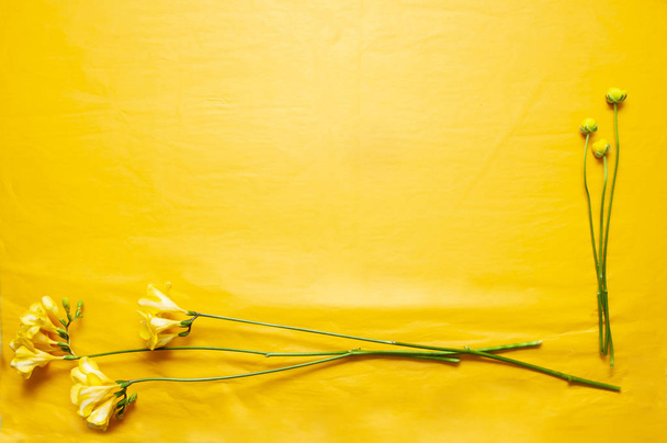 yellow background with yellow flowers, place for text - Photo, Image
