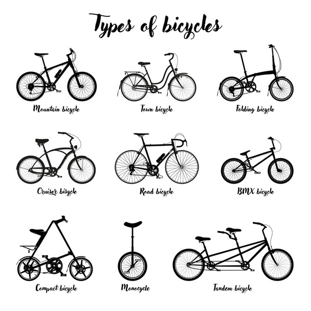 Types of bicycle. Bikes in black. - Vector, imagen