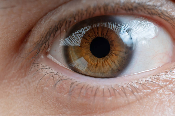 Крупним планом вид на людське око
. - Фото, зображення