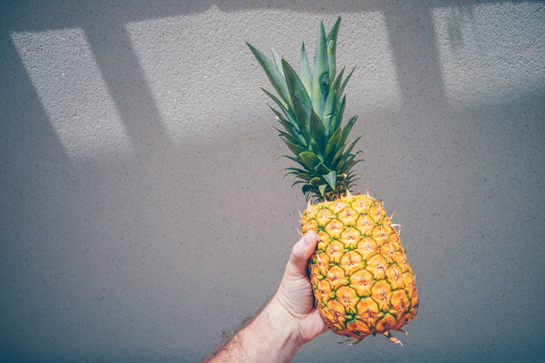 Pineapple in man's hand - tropical fruit - Foto, immagini