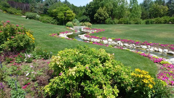 scenic view of creek surrounded by greenery and flowers in botanical garden - Photo, Image