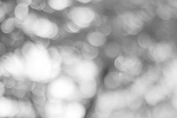 abstract background with bokeh - 写真・画像
