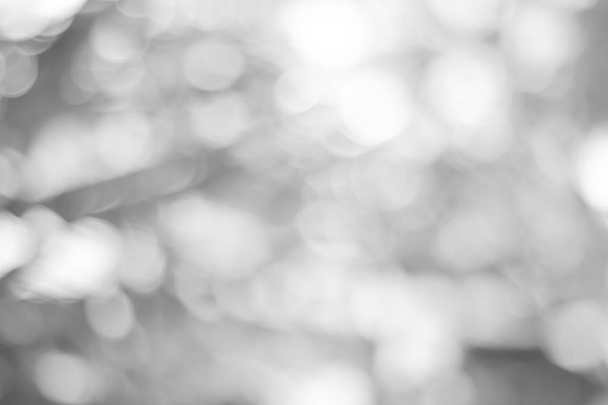 abstract background with bokeh - Photo, image