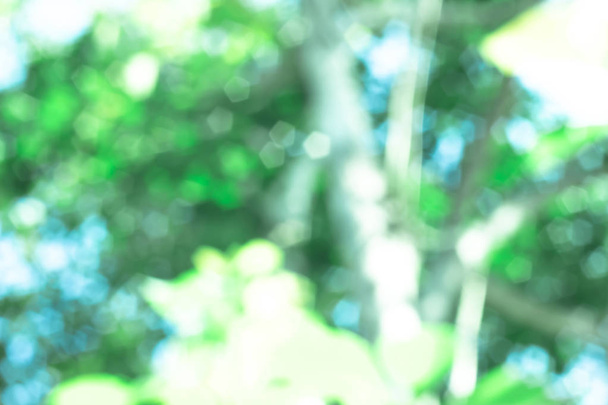 abstract blur green bokeh background with defocused lights - Foto, Bild