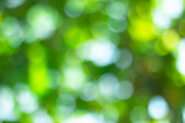 green bokeh background with defocused lights - Foto, Bild