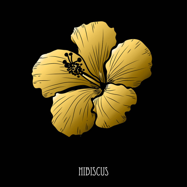 Decorative hibiscus  flower, design element. Can be used for cards, invitations, banners, posters, print design. Golden flowers - Vektör, Görsel