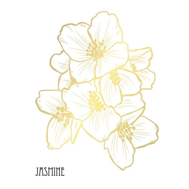 Decorative jasmine flowers, design elements. Can be used for cards, invitations, banners, posters, print design. Golden flowers - ベクター画像